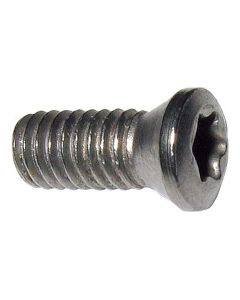 M2.5 SCREW FOR 1/4 & 3/8" INDEXABLE TURNING TOOLS (2003-0012)